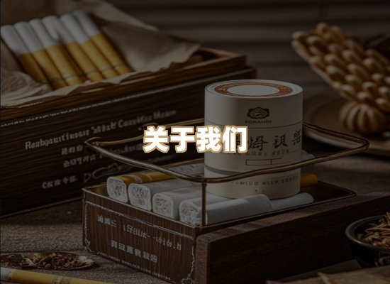 关于蓝帝网